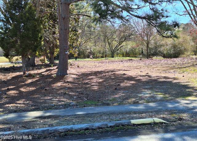 Property at Tbd Roberts Rd, Rich Square, NC 27869
