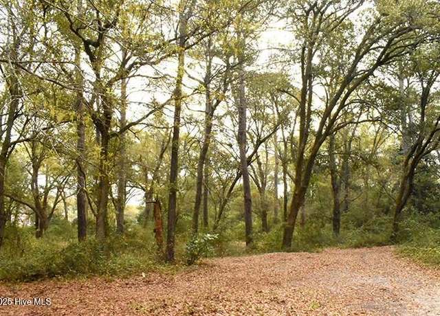 Property at 154 Cotherstone Ct, Hampstead, NC 28443
