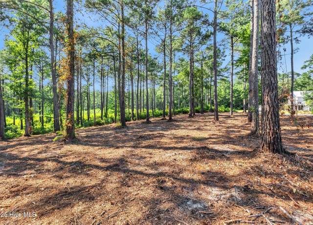 Property at 218 Alderman Landing Rd, Holly Ridge, NC 28445