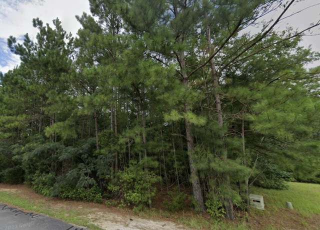 Property at 325 Farina Dr, Havelock, NC 28532