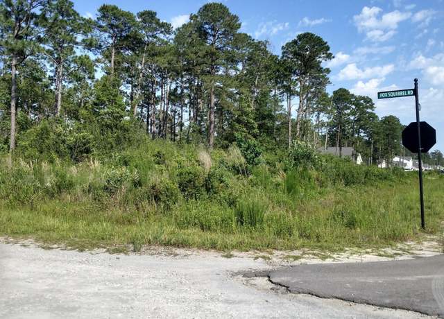 Property at 0 Fox Squirrel Rd, Boiling Spring Lakes, NC 28461