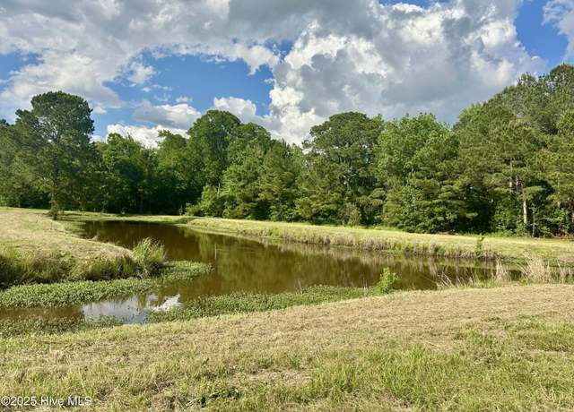 Property at Near 2151 Dolph Lewis Rd, Cerro Gordo, NC 28430