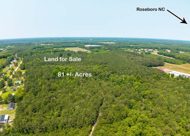 Property at 0 Big Piney Grove Road Rd, Clinton, NC 28328