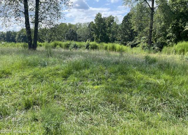 Property at 0 Green Rd Lot 1 & 2, Spring Hope, NC 27882