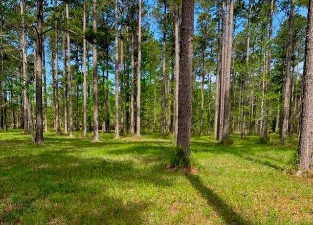 Property at 52 Corolla Loop Rd, Arapahoe, NC 28510