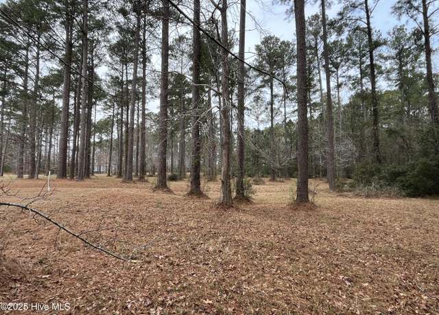 Property at 464 Dawson Creek Blvd, Oriental, NC 28571