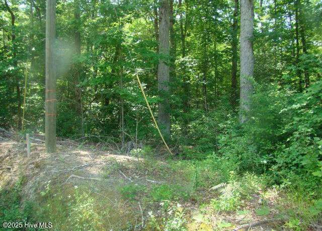 Property at 1 Birch Drive Lot 10, Blounts Creek, NC 27814