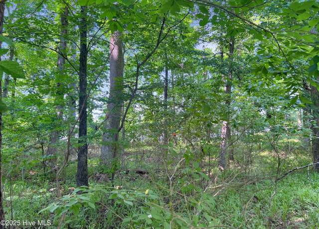 Property at 124 Windsong Pt, Edenton, NC 27932
