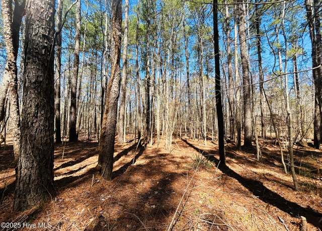 Property at 52-A Hunt Club Trl, Hertford, NC 27944