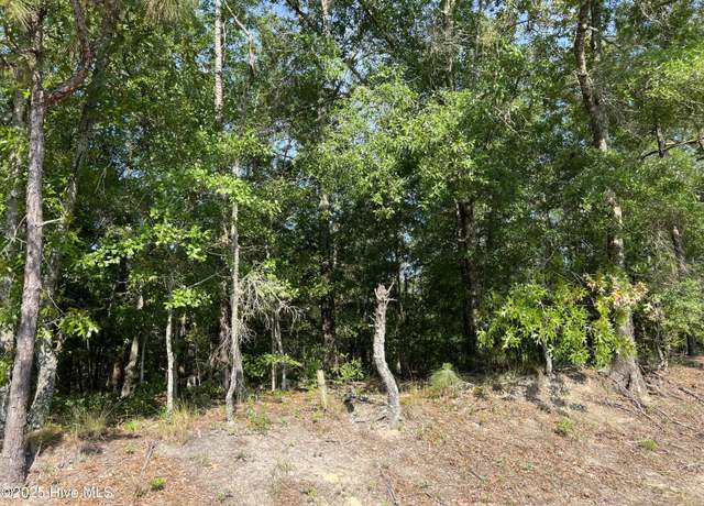 Property at 0 Off Shaw Hwy, Rocky Point, NC 28457