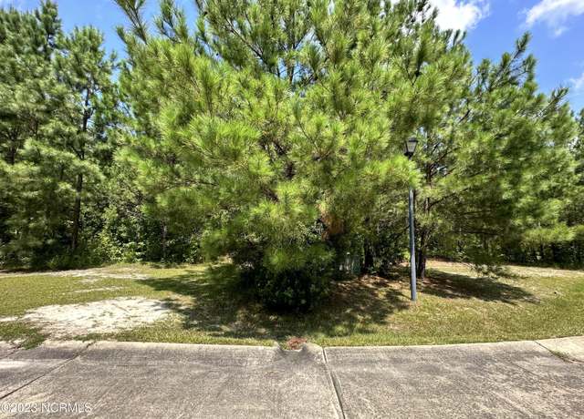 Property at 85 Dana's Way Way, Columbia, NC 27925