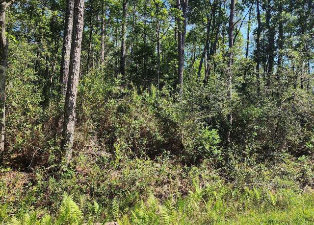 Property at Lot 60 Drake Rd, Boiling Spring Lakes, NC 28461