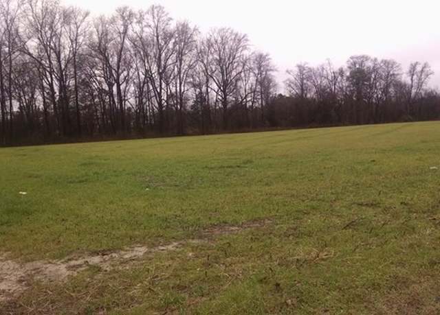 Property at 00 Old Mt Olive Hwy, Dudley, NC 28333