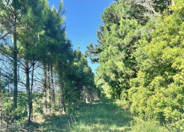 Property at 315 Amos Gillikin Rd, Beaufort, NC 28516