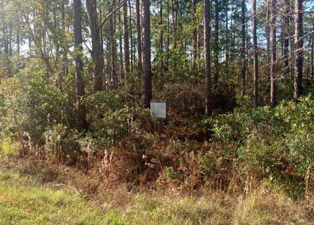Property at 5 Monroe Rd, Boiling Spring Lakes, NC 28461