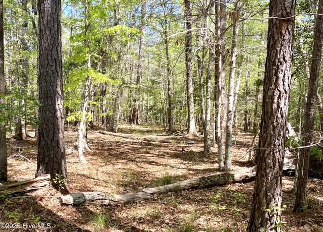 Property at Lot 2 Berrys Creek Rd, Beaufort, NC 28516