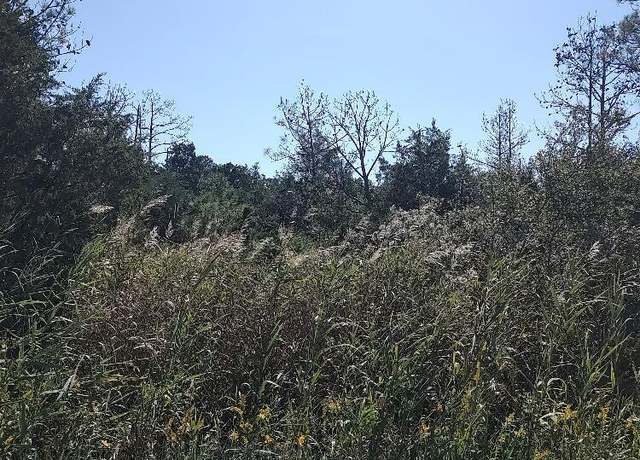 Property at Tract A Meekins Rd, Bayboro, NC 28515