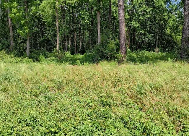 Property at Lot B Tyree Rd, Kinston, NC 28504