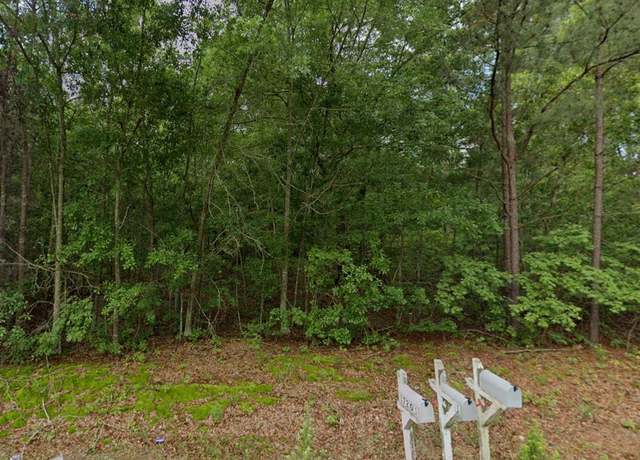 Property at Tbd Palmer Rd, Marston, NC 28363