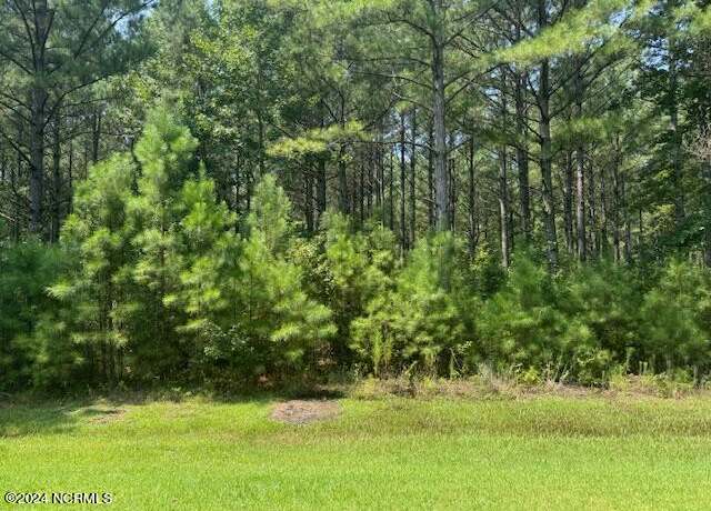 Property at 155 N Berne Landing Rd, New Bern, NC 28560