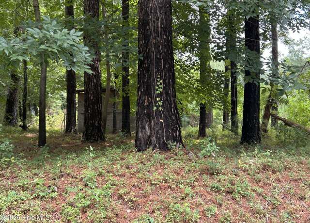 Property at 0 Croomsbridge Rd, Burgaw, NC 28425