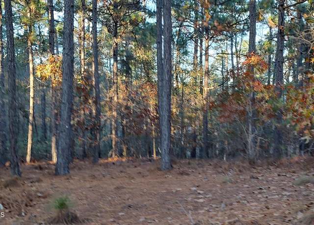 Property at 4 Brassie Cir, Jackson Springs, NC 27281