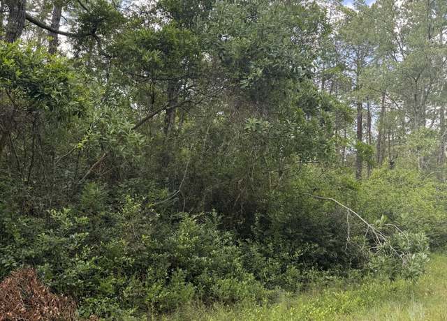 Property at Lot 83 Beech Rd, Boiling Spring Lakes, NC 28461