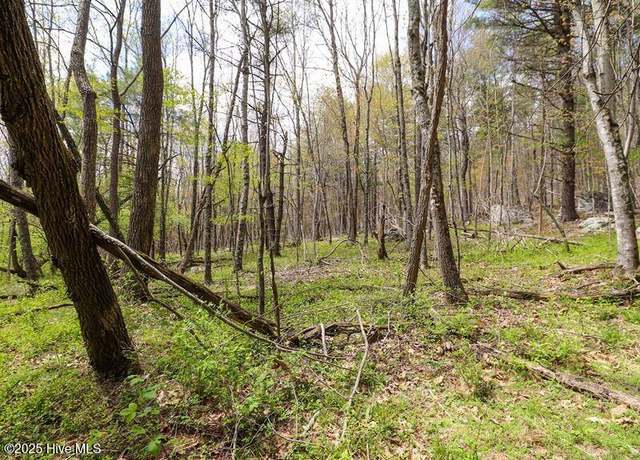 Property at Lot 19 Potecasi Creek Road Rd, Ahoskie, NC 27910