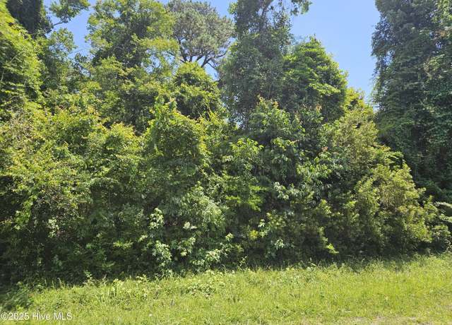 Property at 245 Sleepy Point Rd, Gloucester, NC 28528