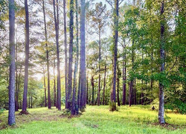Property at 850 Southern Plantation Dr N, Oriental, NC 28571