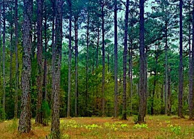 Property at 103 Cassie May Blvd, Oriental, NC 28571