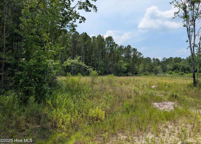 Property at 000 Nine Mile Rd, Maple Hill, NC 28454