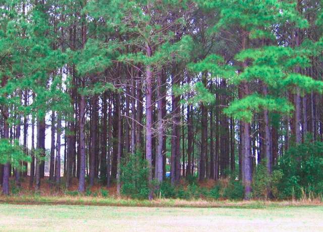 Property at 394 Autumn Pheasant Loop NW, Calabash, NC 28467
