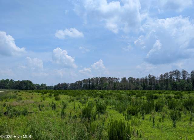 Property at 000 Cedar Fork Rd, Beulaville, NC 28518