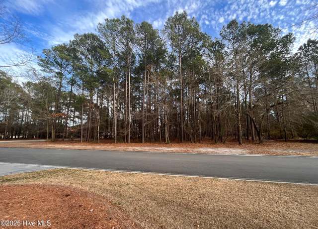 Property at 264 Red Fox Run Dr, Wallace, NC 28466