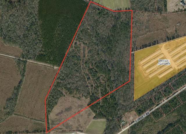 Property at 61.5 Acres Penderlea Hwy, Willard, NC 28478