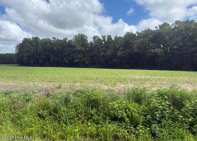 Property at 0 Near 403 Flynn Cemet Rd, Whiteville, NC 28472