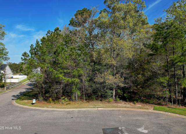 Property at 973 Billys Dream Cir SW, Supply, NC 28462