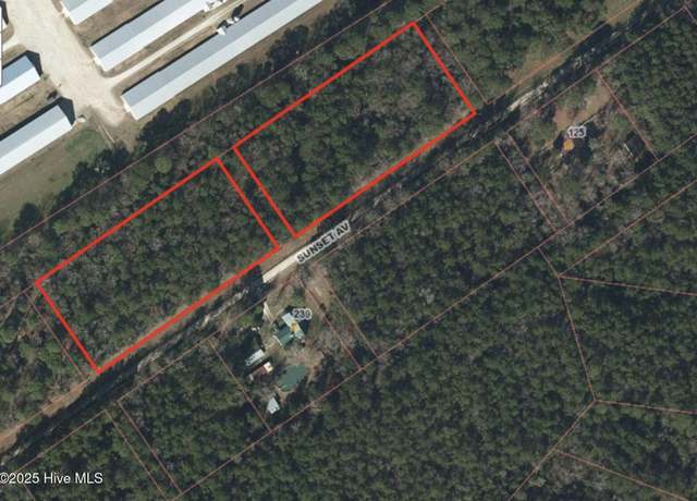 Property at 4 Acres Sunset Ave, Willard, NC 28478
