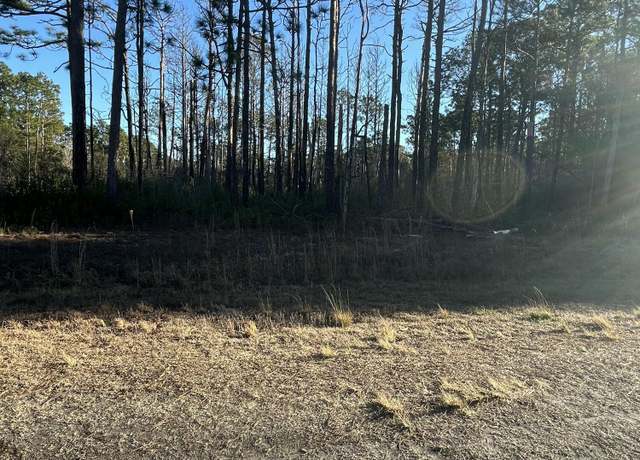Property at 00 Pee Dee Rd, Boiling Spring Lakes, NC 28461