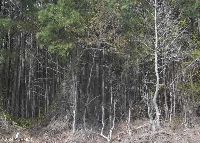 Property at Tbd Griffin Swamp Rd, Elizabeth City, NC 27909