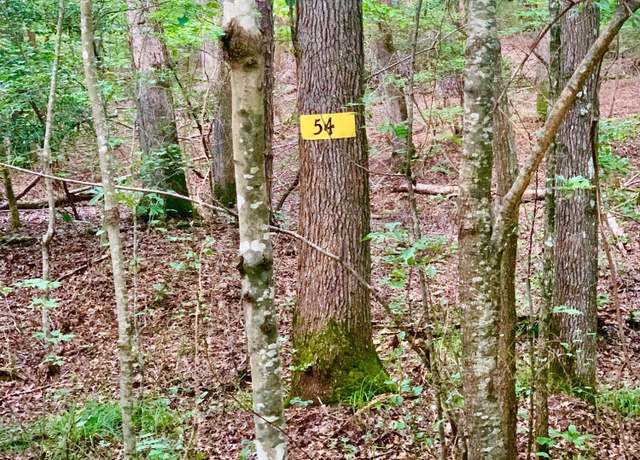 Property at 54 Palomino Rd, Carthage, NC 28327