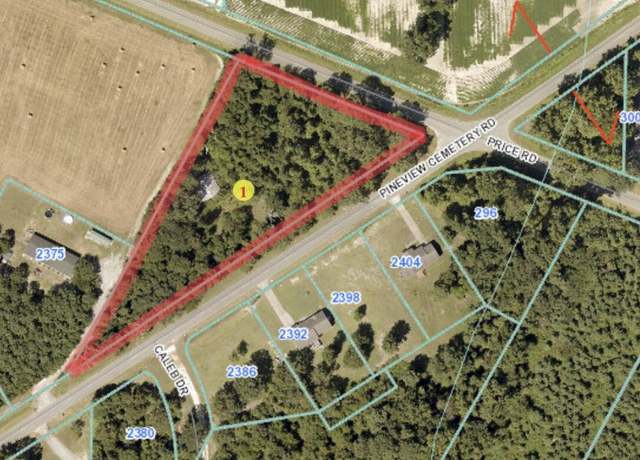Property at 0 Pineview Cemetery Rd, Seven Springs, NC 28578