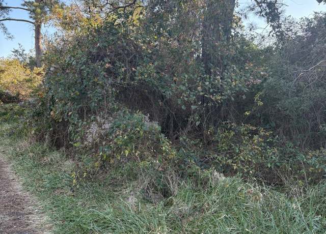Property at 196 Styron Creek Rd, Sea Level, NC 28577