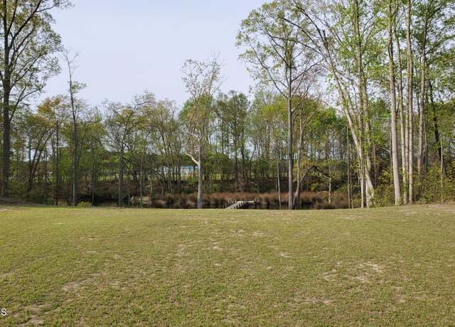 Property at 98 Bridgewater South Dr, Bath, NC 27808