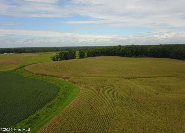 Property at 0 Lyman Rd, Beulaville, NC 28518