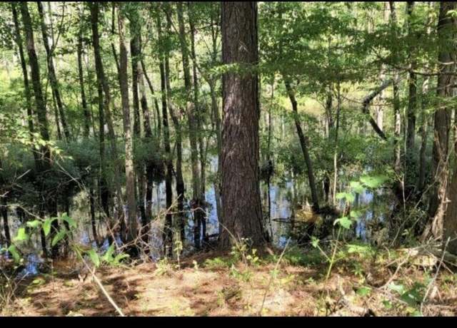 Property at Tbd Ella Sofia Ln, New Bern, NC 28562