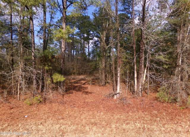 Property at Near 273 Kenric Rd, Lumberton, NC 28358