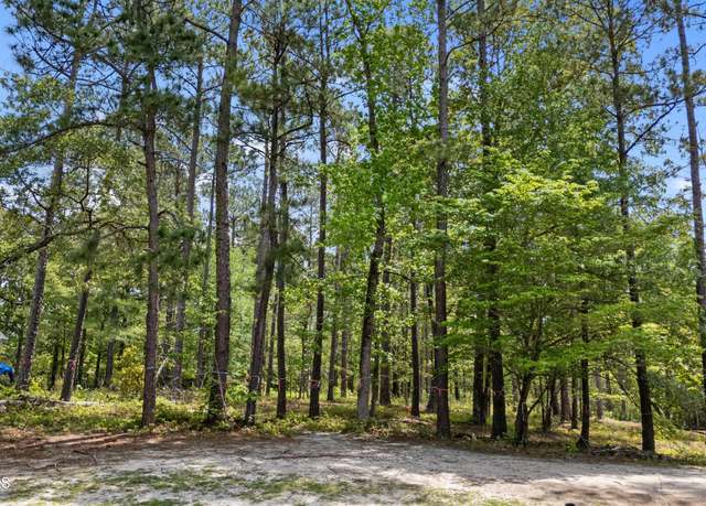 Property at 689 Summerhaven Ln SE, Bolivia, NC 28422
