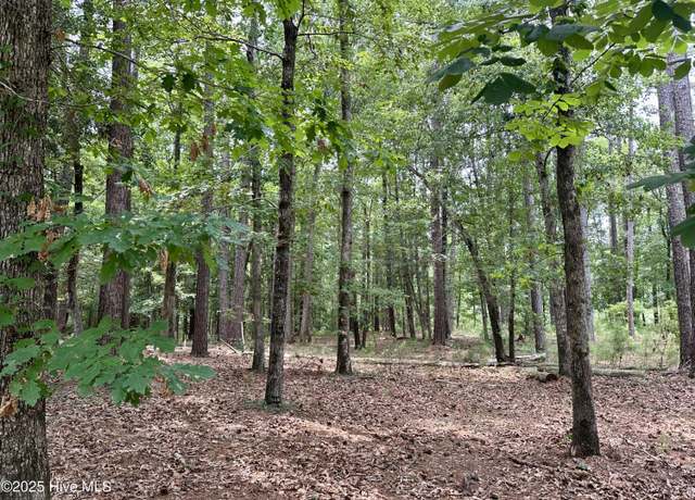 Property at 513 Holland Mill Ln, Stella, NC 28582